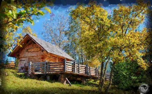 BUCOVINA ANOTIMPURI VARA (24)