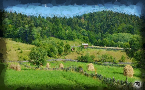 BUCOVINA ANOTIMPURI VARA (5)