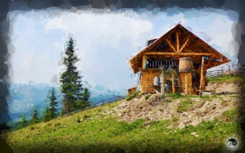 BUCOVINA ANOTIMPURI VARA (6)