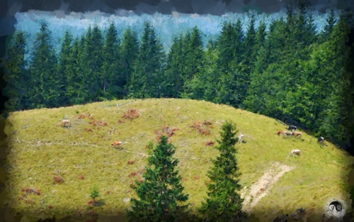 BUCOVINA ANOTIMPURI VARA (7)