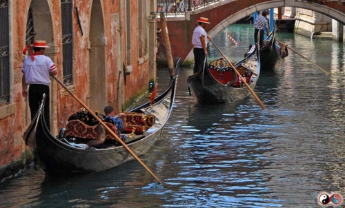 92f418 21d9b516af7741d486a43793c0107957-mv2