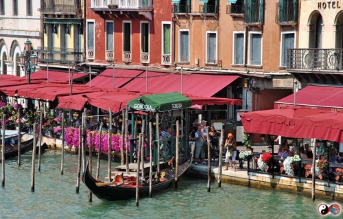 92f418 47d980915a8c41819d5ecbb5bed94cd1-mv2